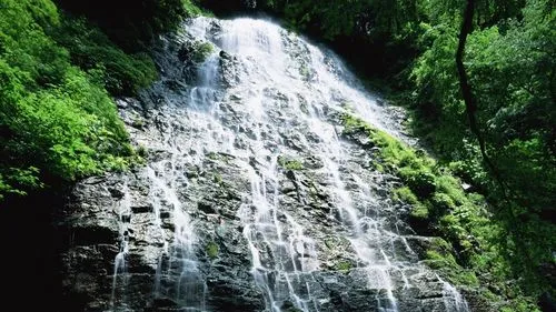 绿色智慧高端